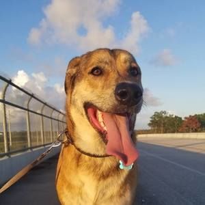 Meet your Posher, Jenny